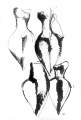 Idolok