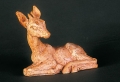 Lying fawn