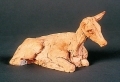 Lying fawn