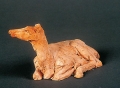 Lying fawn